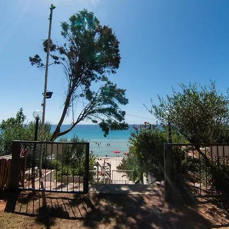 호텔 New Barcavela 4*