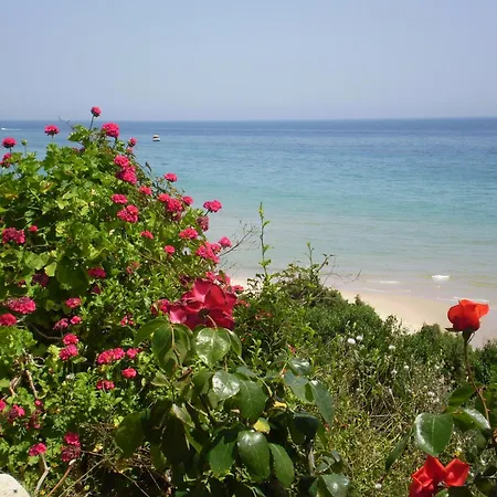 New Barcavela 호텔 산타마르게리타디풀라