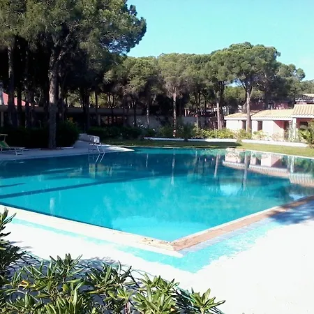 New Barcavela 호텔 4*