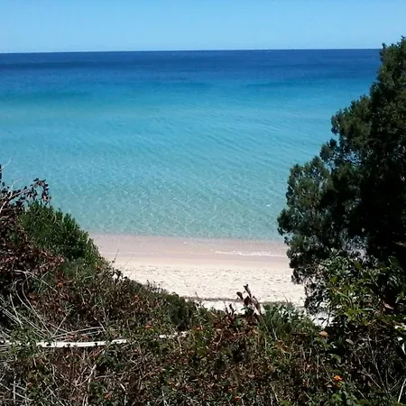 Hotel New Barcavela 4*