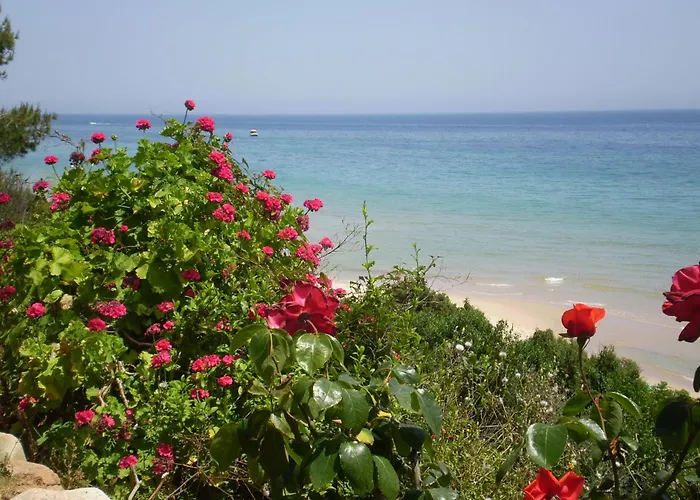 New Barcavela מלון סנטה מרגריטה די פולה