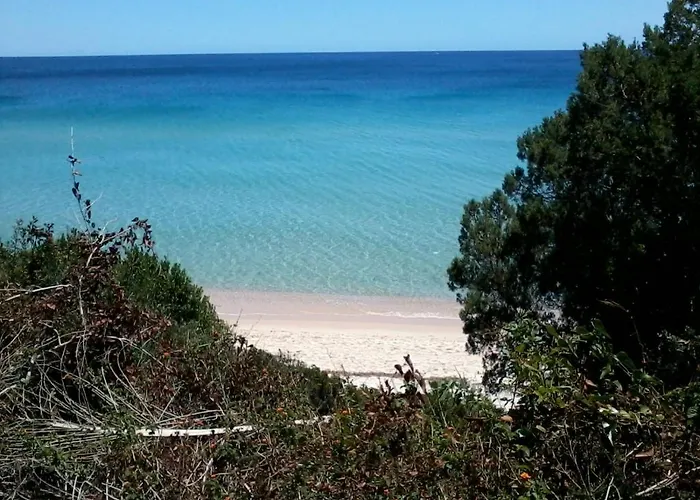 מלון New Barcavela 4*